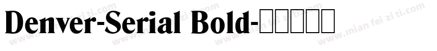 Denver-Serial Bold字体转换